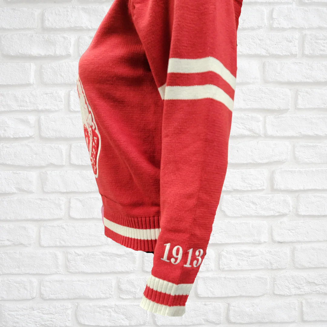 Delta Chenille V-neck Varsity Sweater - Image 3
