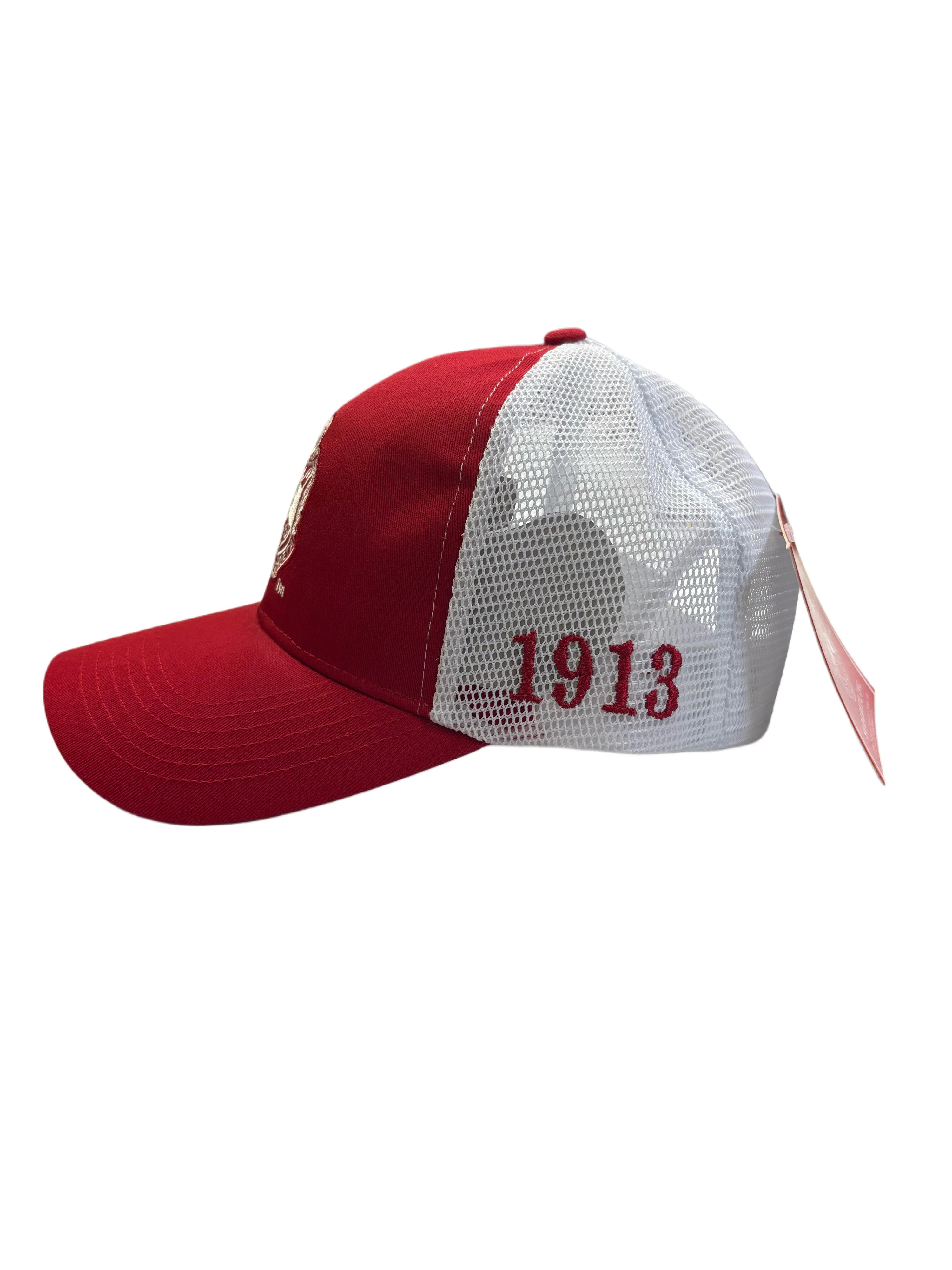 Delta Trucker Baseball Cap - Image 3