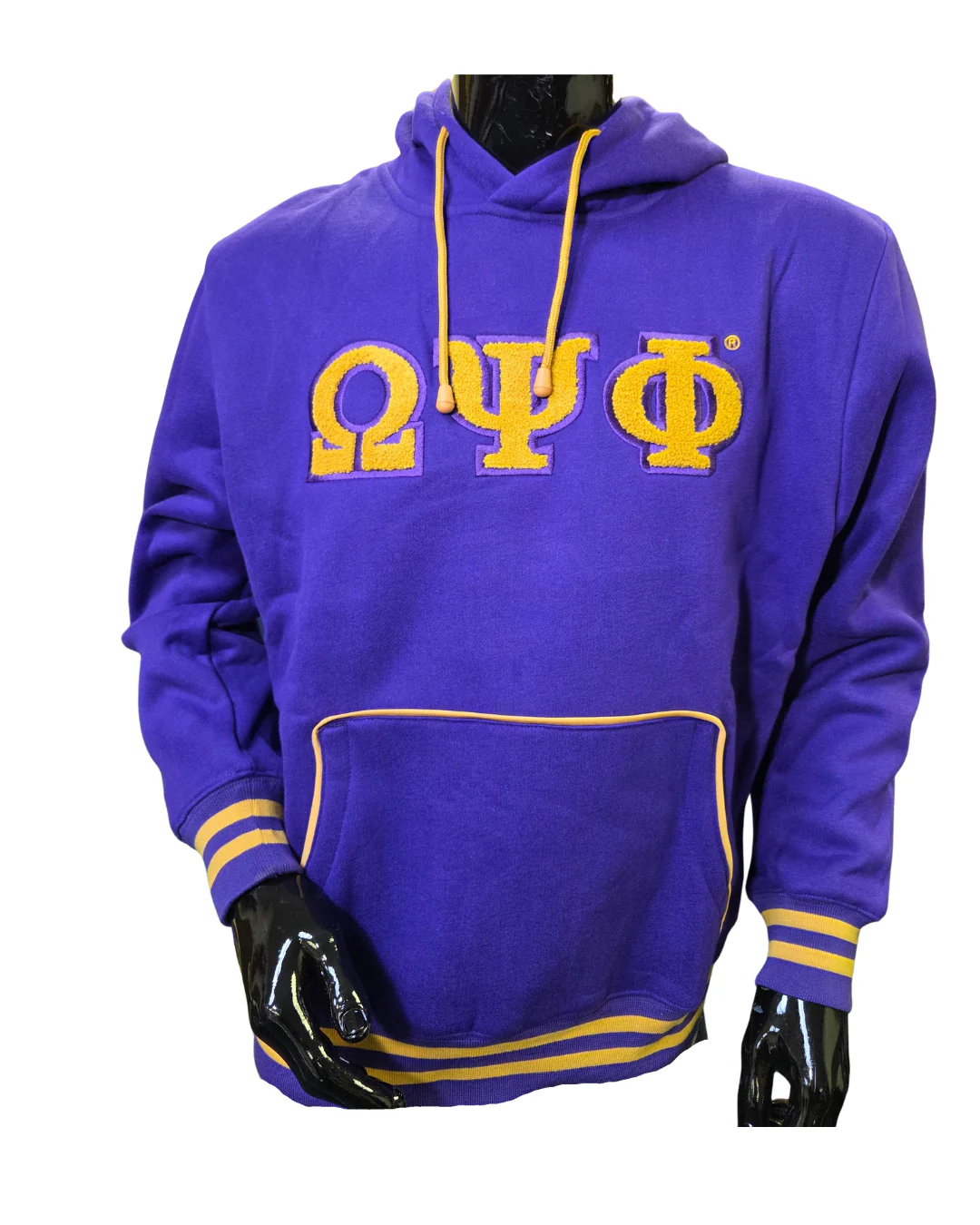 Omega Chenille Hoodie - Image 2