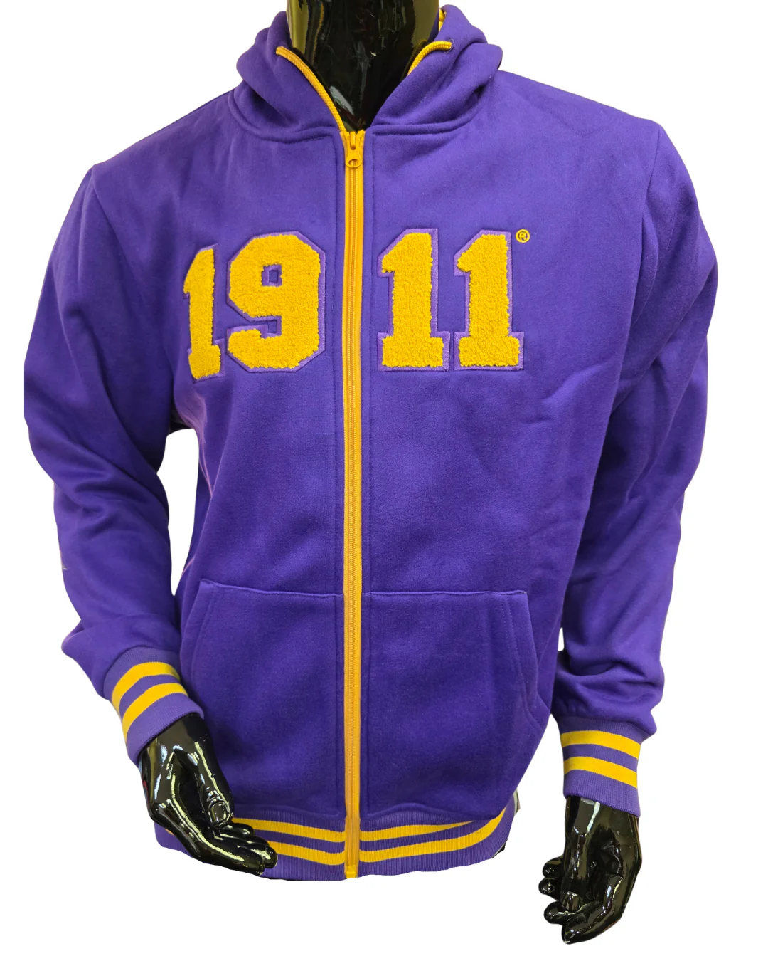 Omega Chenille Zip Hoodie