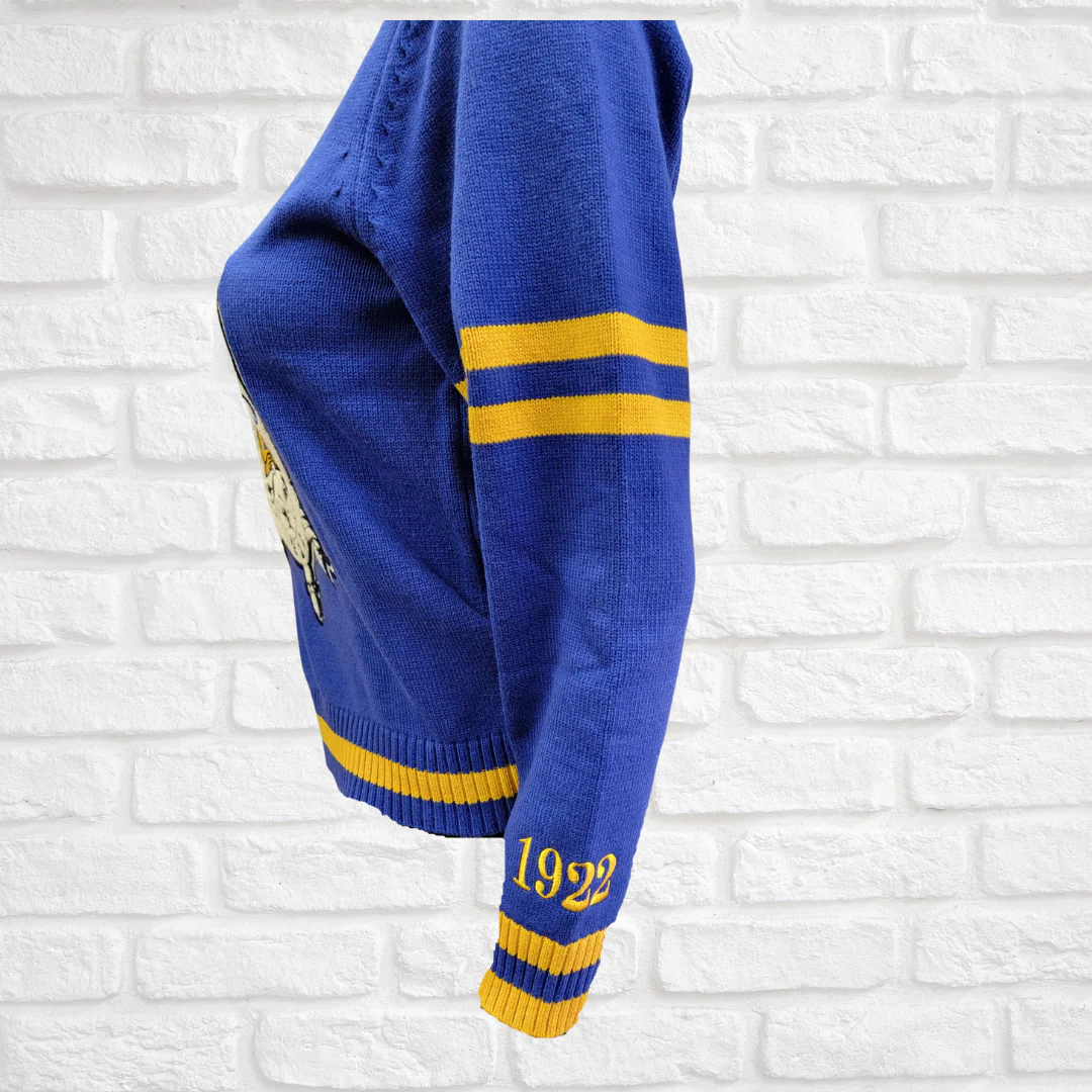 SGRho Chenille V-neck Varsity Sweater - Image 2