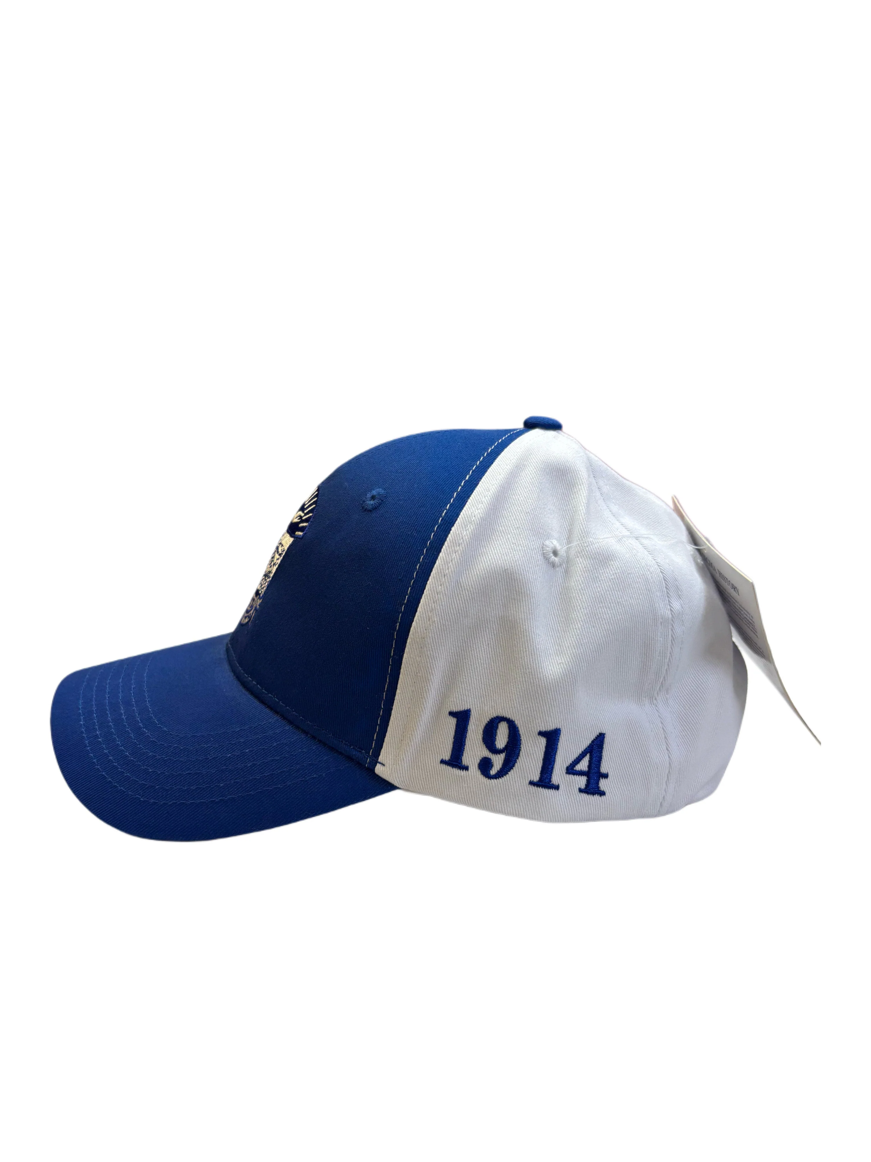 Sigma Color Block Baseball Cap - Image 3